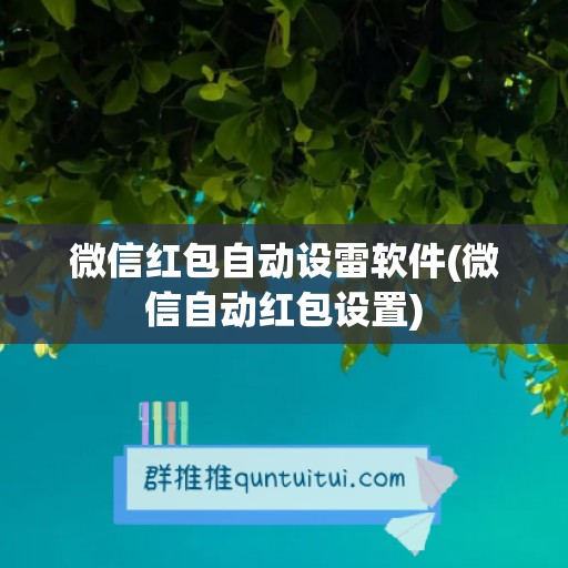 微信红包自动设雷软件(微信自动红包设置)