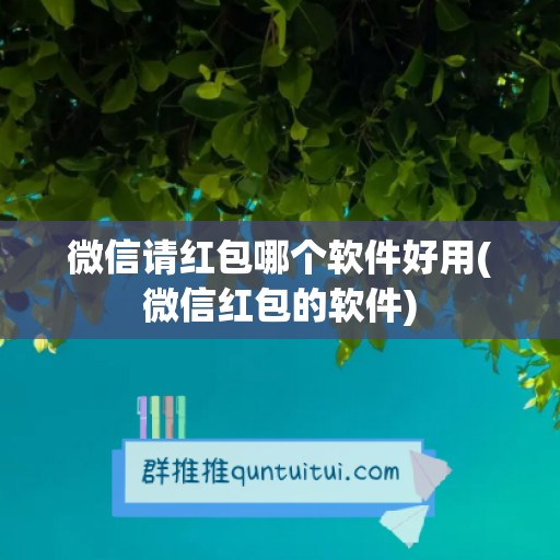 微信请红包哪个软件好用(微信红包的软件)