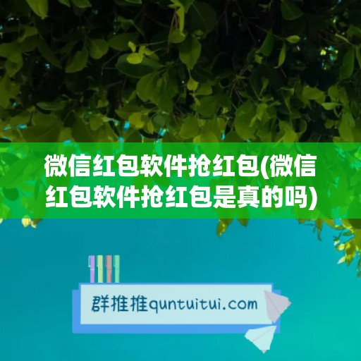 微信红包软件抢红包(微信红包软件抢红包是真的吗)