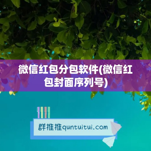 微信红包分包软件(微信红包封面序列号)