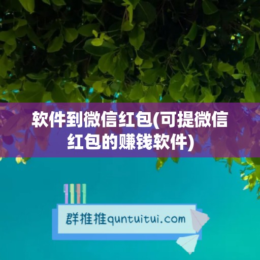 软件到微信红包(可提微信红包的赚钱软件)