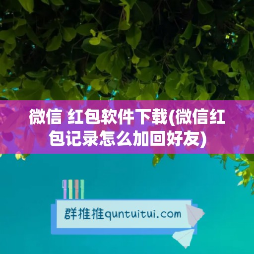 微信 红包软件下载(微信红包记录怎么加回好友)