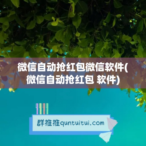 微信自动抢红包微信软件(微信自动抢红包 软件)