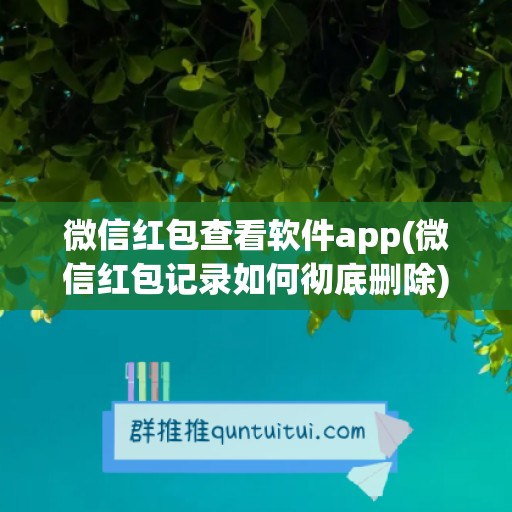 微信红包查看软件app(微信红包记录如何彻底删除)