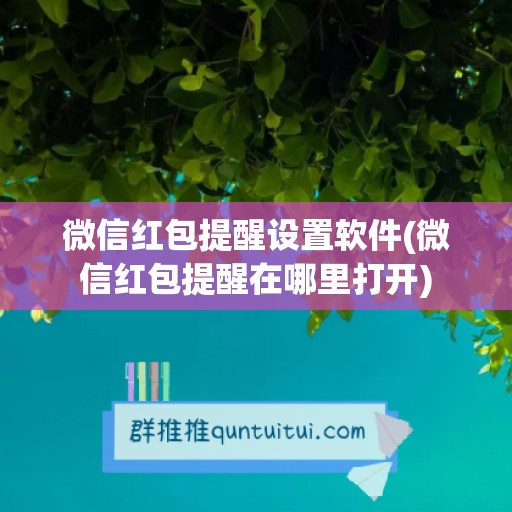 微信红包提醒设置软件(微信红包提醒在哪里打开)