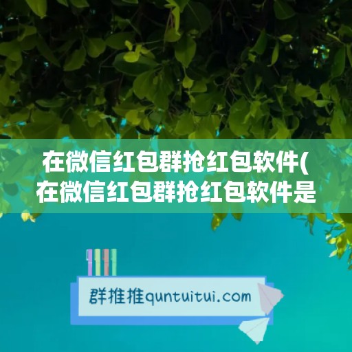 在微信红包群抢红包软件(在微信红包群抢红包软件是真的吗)