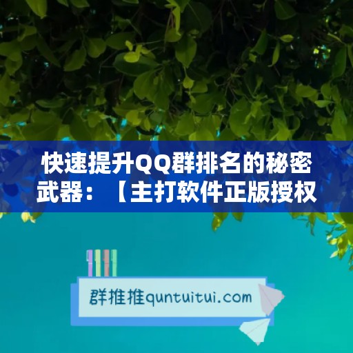 快速提升QQ群排名的秘密武器：【主打软件正版授权】永久卡