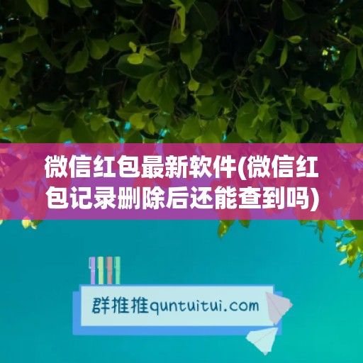 微信红包最新软件(微信红包记录删除后还能查到吗)