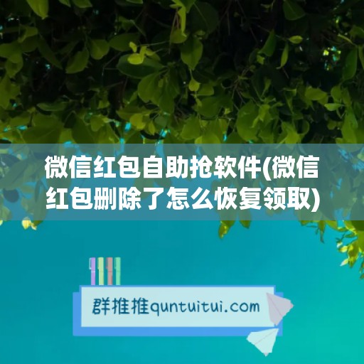 微信红包自助抢软件(微信红包删除了怎么恢复领取)