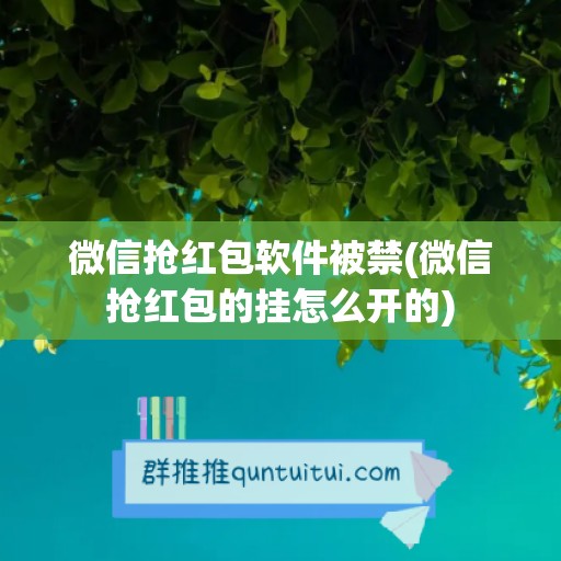 微信抢红包软件被禁(微信抢红包的挂怎么开的)