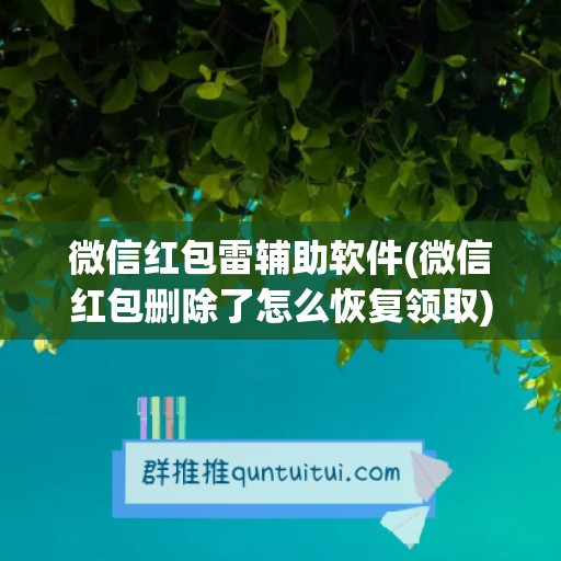 微信红包雷辅助软件(微信红包删除了怎么恢复领取)