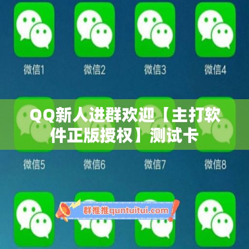 QQ新人进群欢迎【主打软件正版授权】测试卡