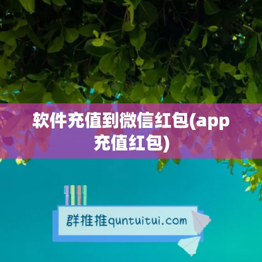 软件充值到微信红包(app充值红包)