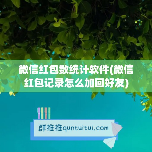 微信红包数统计软件(微信红包记录怎么加回好友)