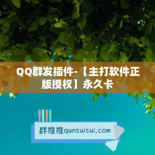 QQ群发插件-【主打软件正版授权】永久卡