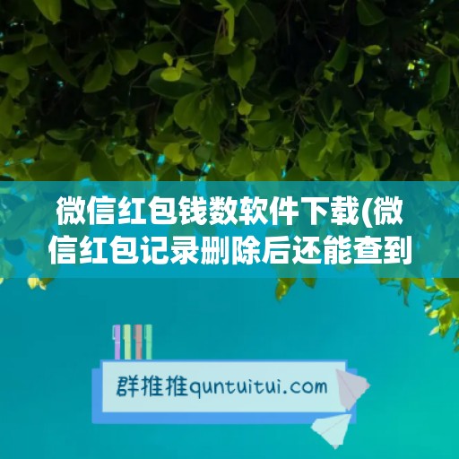 微信红包钱数软件下载(微信红包记录删除后还能查到吗)