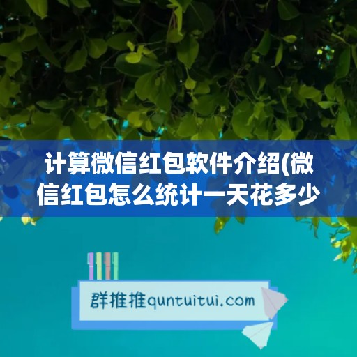 计算微信红包软件介绍(微信红包怎么统计一天花多少)