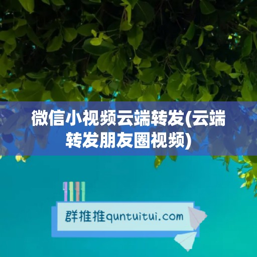 微信小视频云端转发(云端转发朋友圈视频)