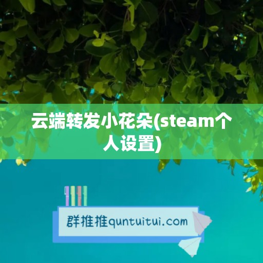 云端转发小花朵(steam个人设置)