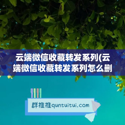 云端微信收藏转发系列(云端微信收藏转发系列怎么删除)