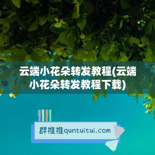 云端小花朵转发教程(云端小花朵转发教程下载)