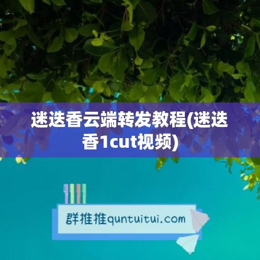 迷迭香云端转发教程(迷迭香1cut视频)