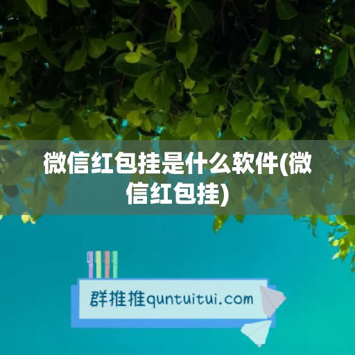 微信红包挂是什么软件(微信红包挂)