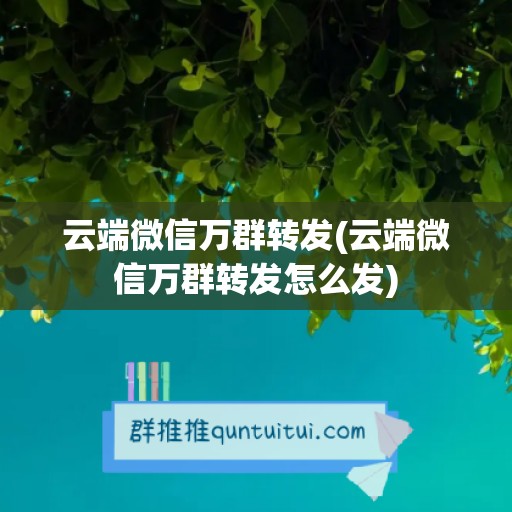 云端微信万群转发(云端微信万群转发怎么发)