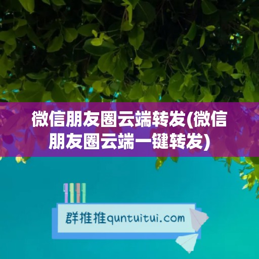 微信朋友圈云端转发(微信朋友圈云端一键转发)