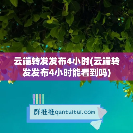 云端转发发布4小时(云端转发发布4小时能看到吗)