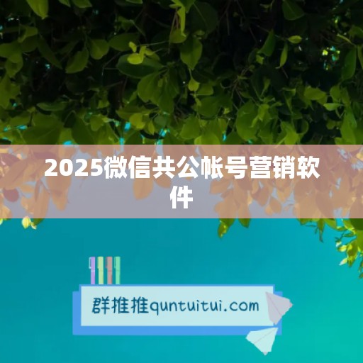 2025微信共公帐号营销软件