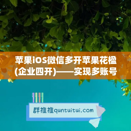 苹果iOS微信多开苹果花楹(企业四开)——实现多账号管理的利器