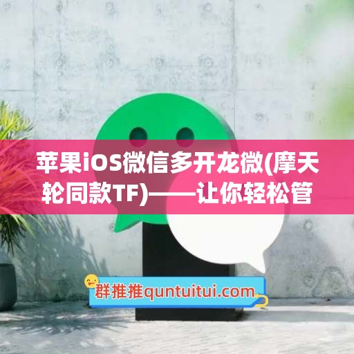 苹果iOS微信多开龙微(摩天轮同款TF)——让你轻松管理多个微信账号