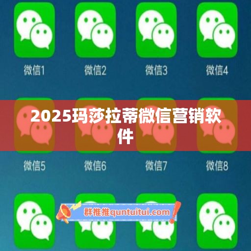 2025玛莎拉蒂微信营销软件