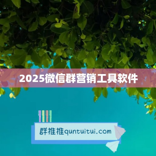 2025微信群营销工具软件