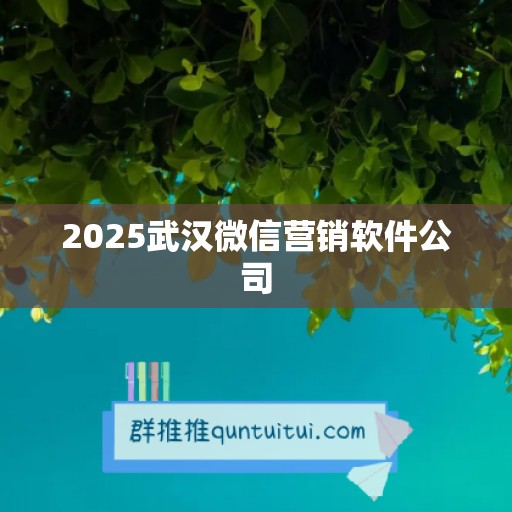 2025武汉微信营销软件公司