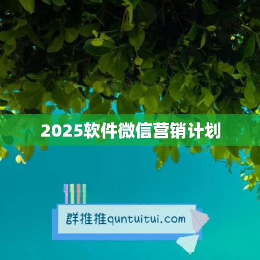 2025软件微信营销计划