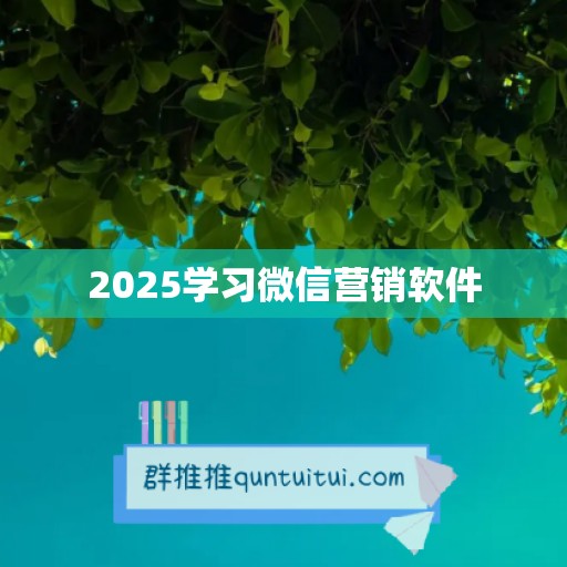 2025学习微信营销软件