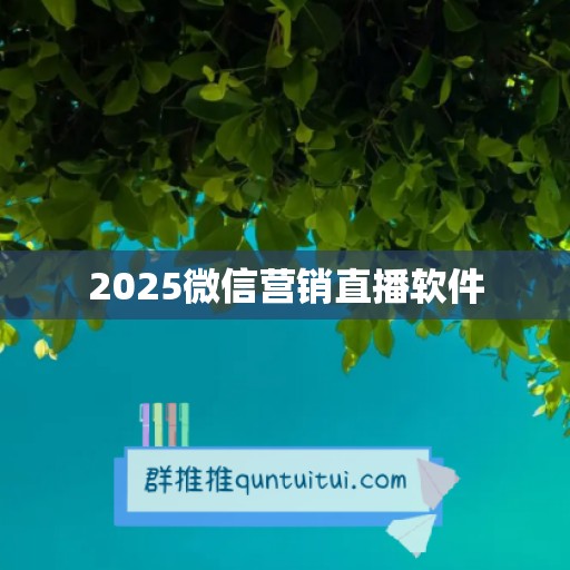 2025微信营销直播软件