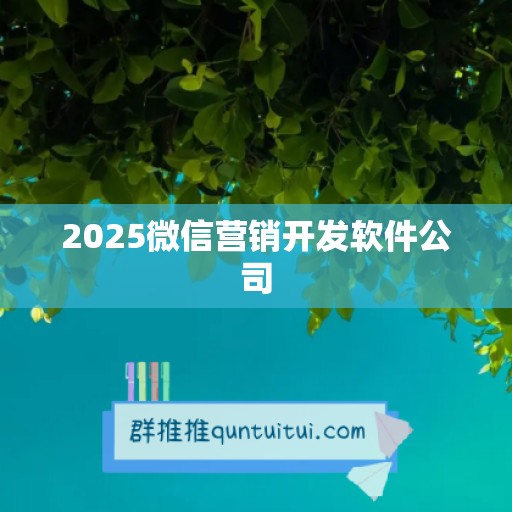 2025微信营销开发软件公司