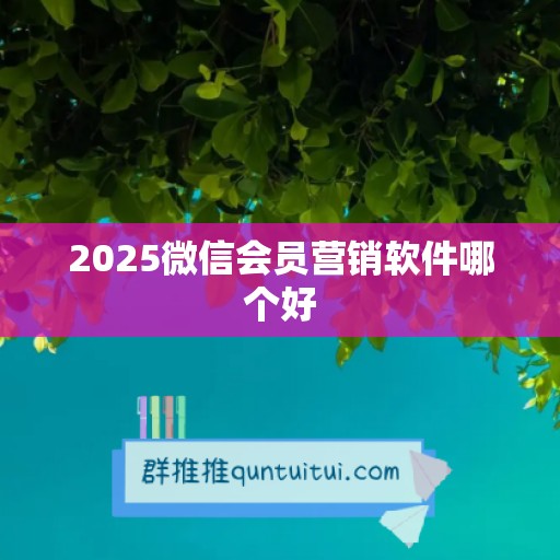 2025微信会员营销软件哪个好