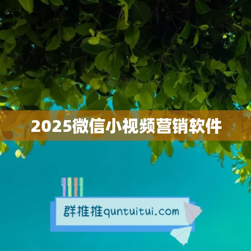 2025微信小视频营销软件