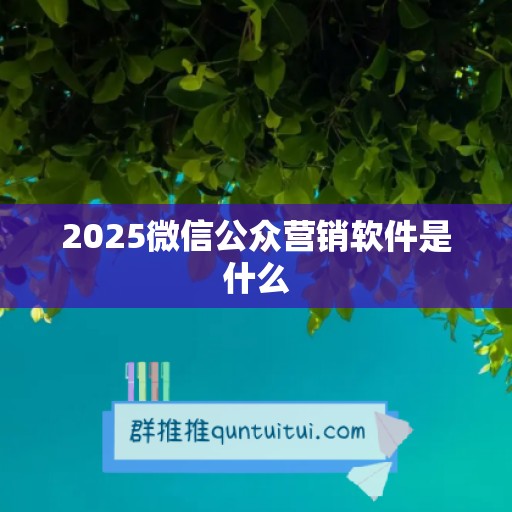 2025微信公众营销软件是什么