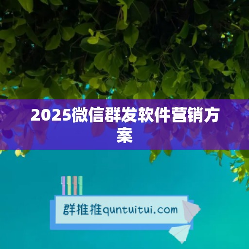 2025微信群发软件营销方案