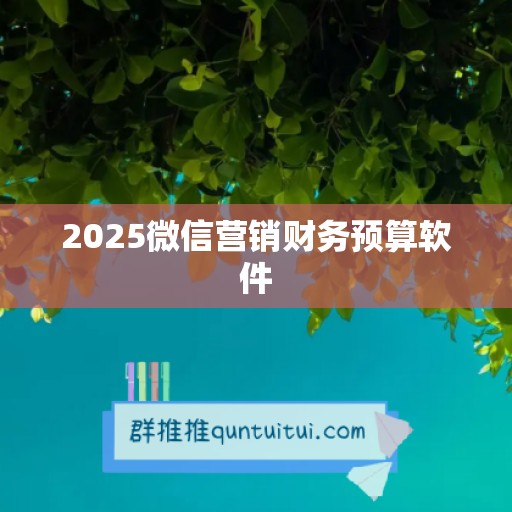 2025微信营销财务预算软件