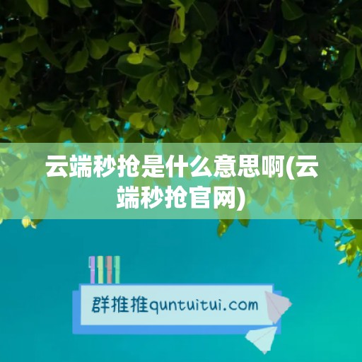 云端秒抢是什么意思啊(云端秒抢官网)