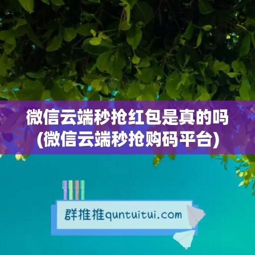 微信云端秒抢红包是真的吗(微信云端秒抢购码平台)