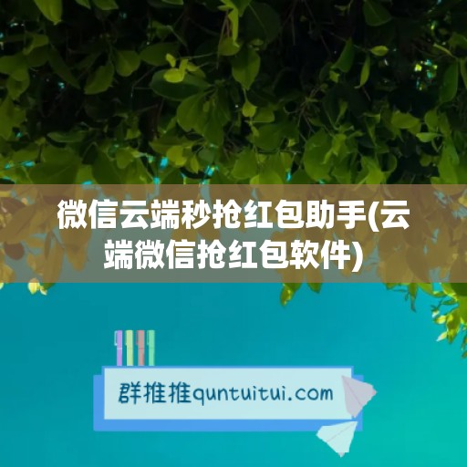 微信云端秒抢红包助手(云端微信抢红包软件)