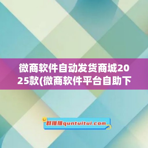 微商软件自动发货商城2025款(微商软件平台自助下单)