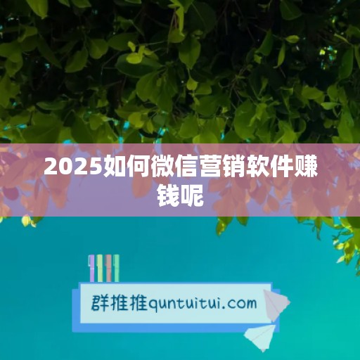 2025如何微信营销软件赚钱呢